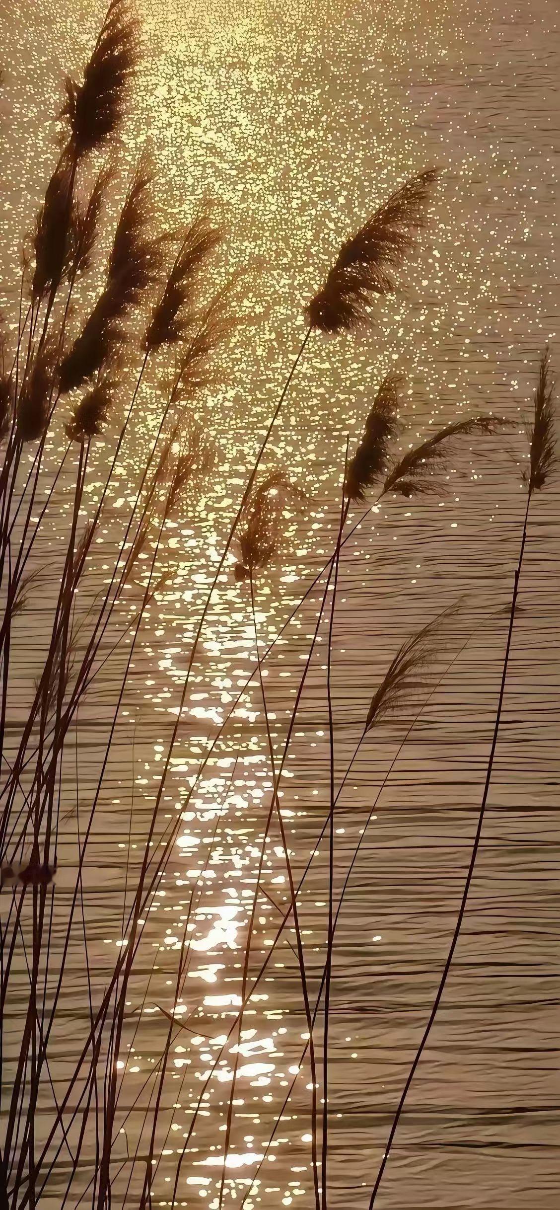 今年春天，我最想实现的心愿还挺多。
我想踩一次山野晨光，去郊外沾一身草木香，感受