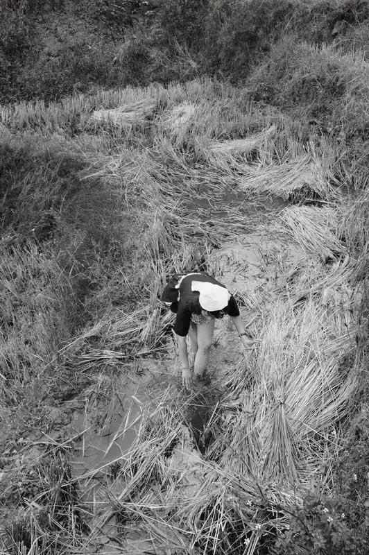 8人组团徒步2女子体力不支被弃荒山 这8人组团徒步，2女子被弃荒山的事儿太离谱了