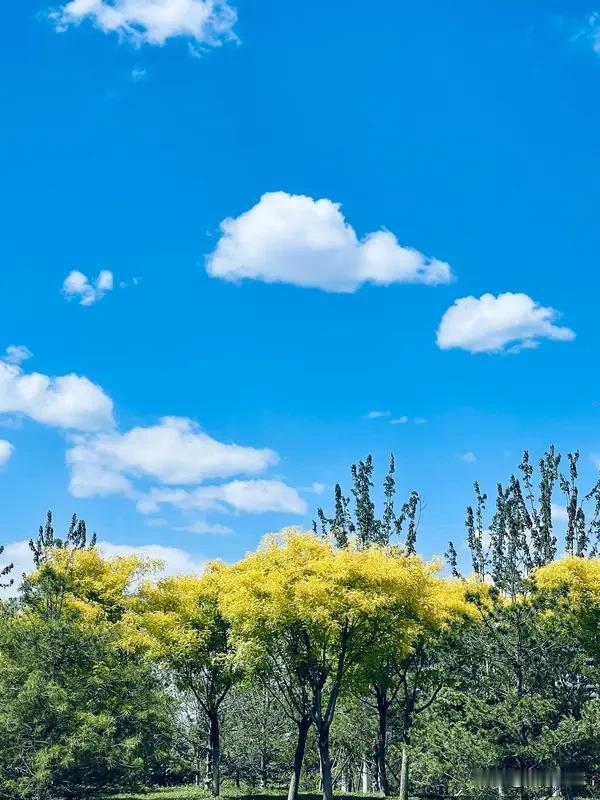 对联门道多
就说“五月风光好”上联
得依规则对下联
对联要求
上下联字数相等
词