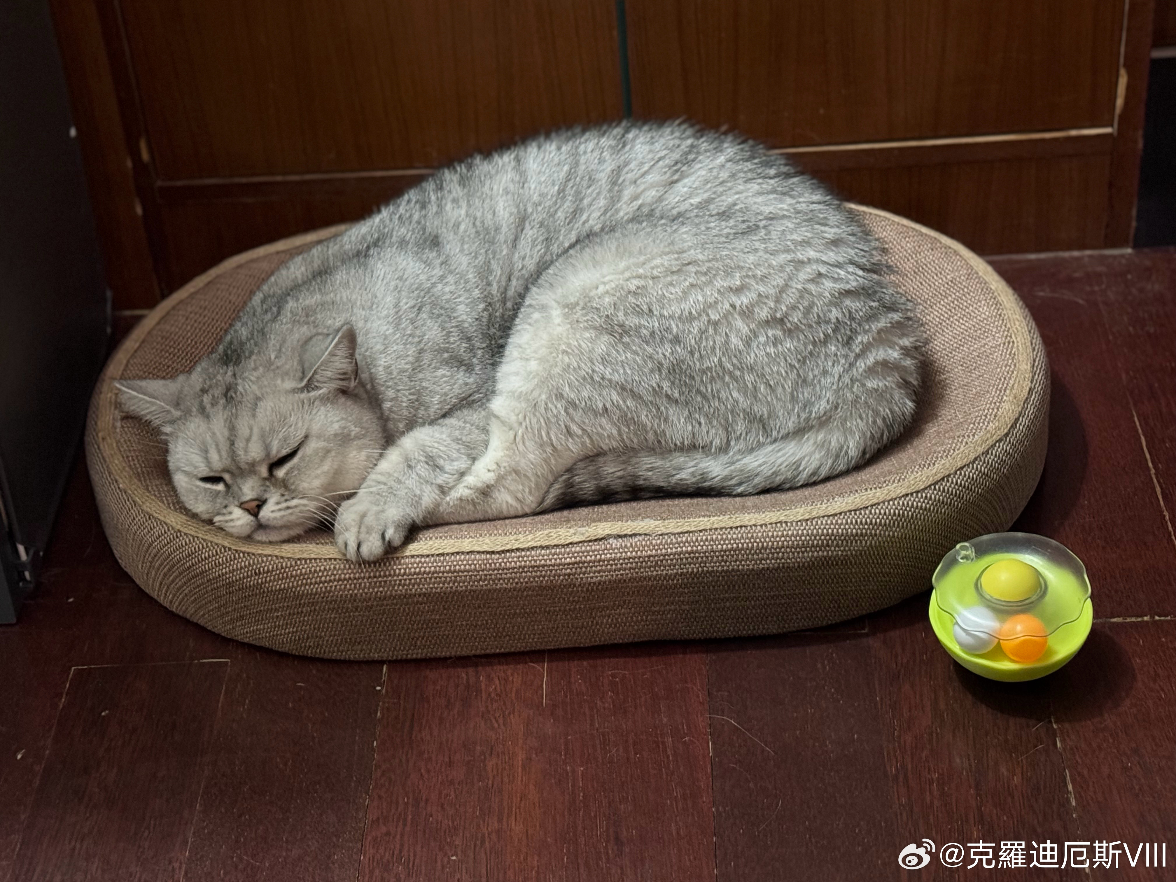 沉默断交既体面了别人，也不内耗自己。及时止损、节约成本，这是好事