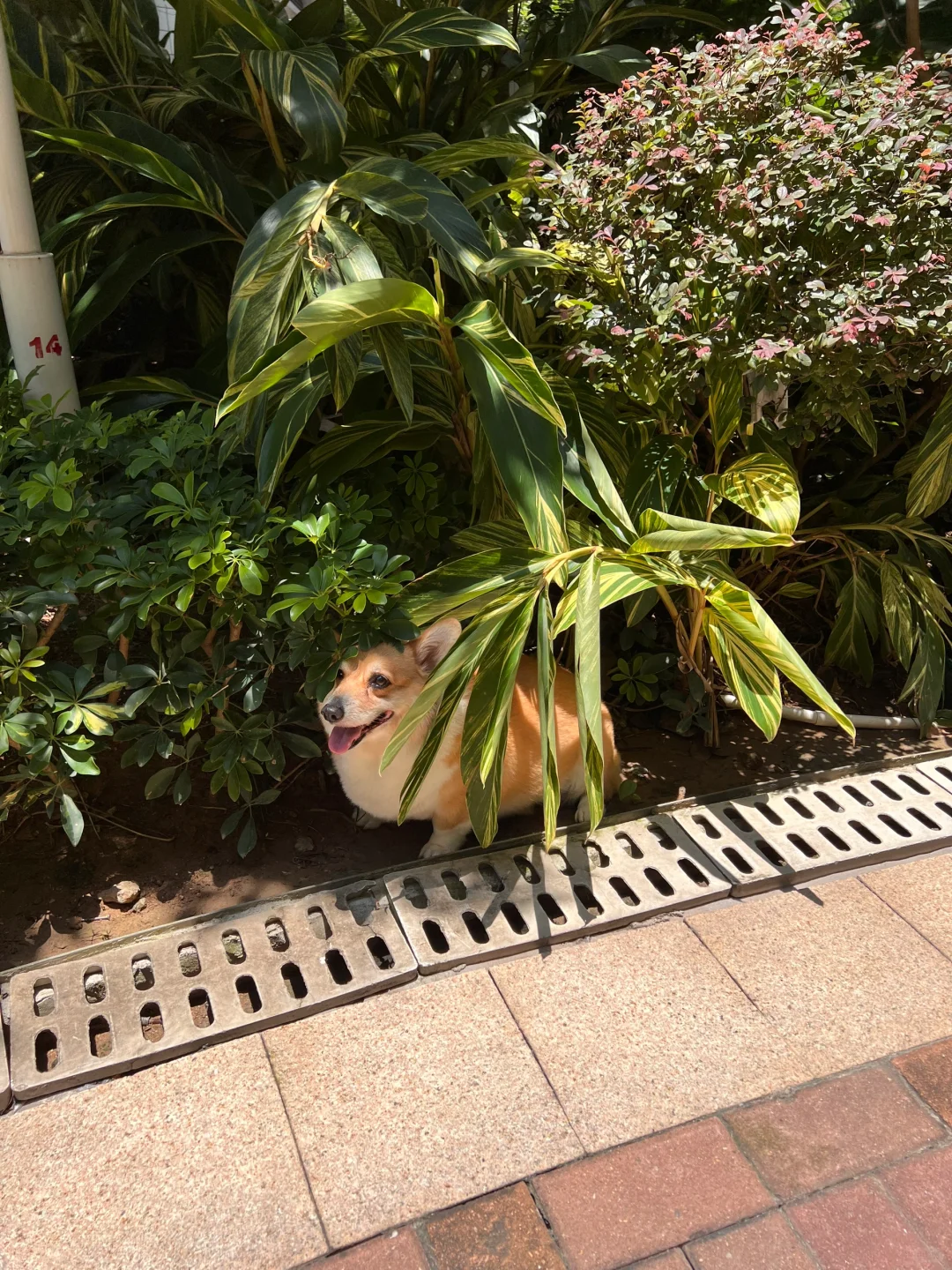 有遮阳但不多🤓🤓