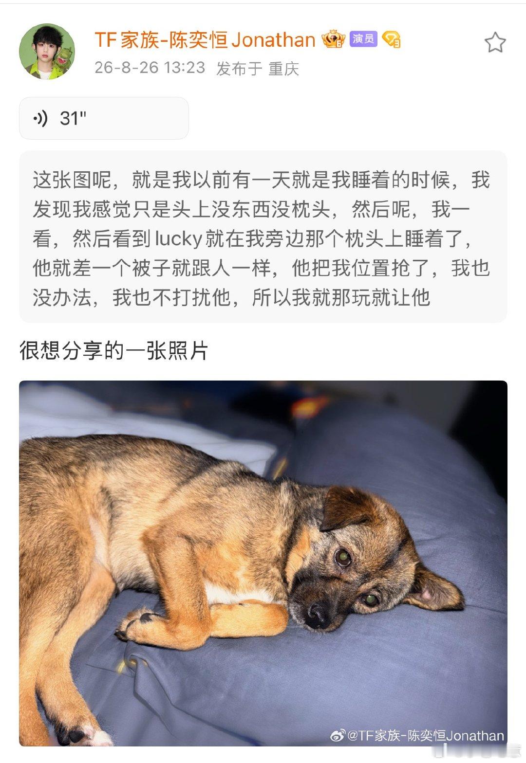 你干嘛…有点宠了 ​​​
