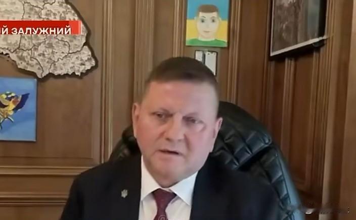 乌克兰驻英国大使、前武装部队参谋长瓦列里·扎卢日尼计划于2026年1月卸任伦敦外