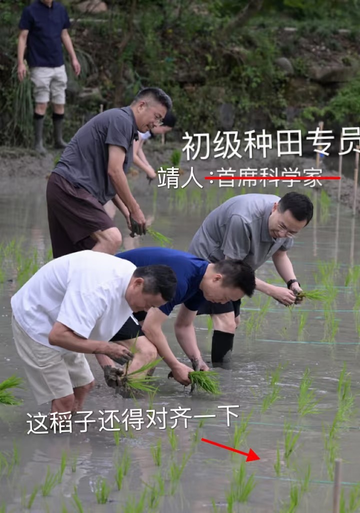 起猛了！“芭芭农场”真人版上演了，堪称“阿里禾伙人”事情是这样的：阿里合伙人、高