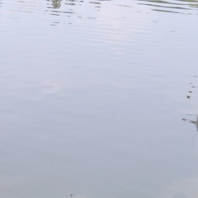 每日一善每日‎一善阳光信用 道可道，非常道。名可名，非常名。无，名天地之始。有，