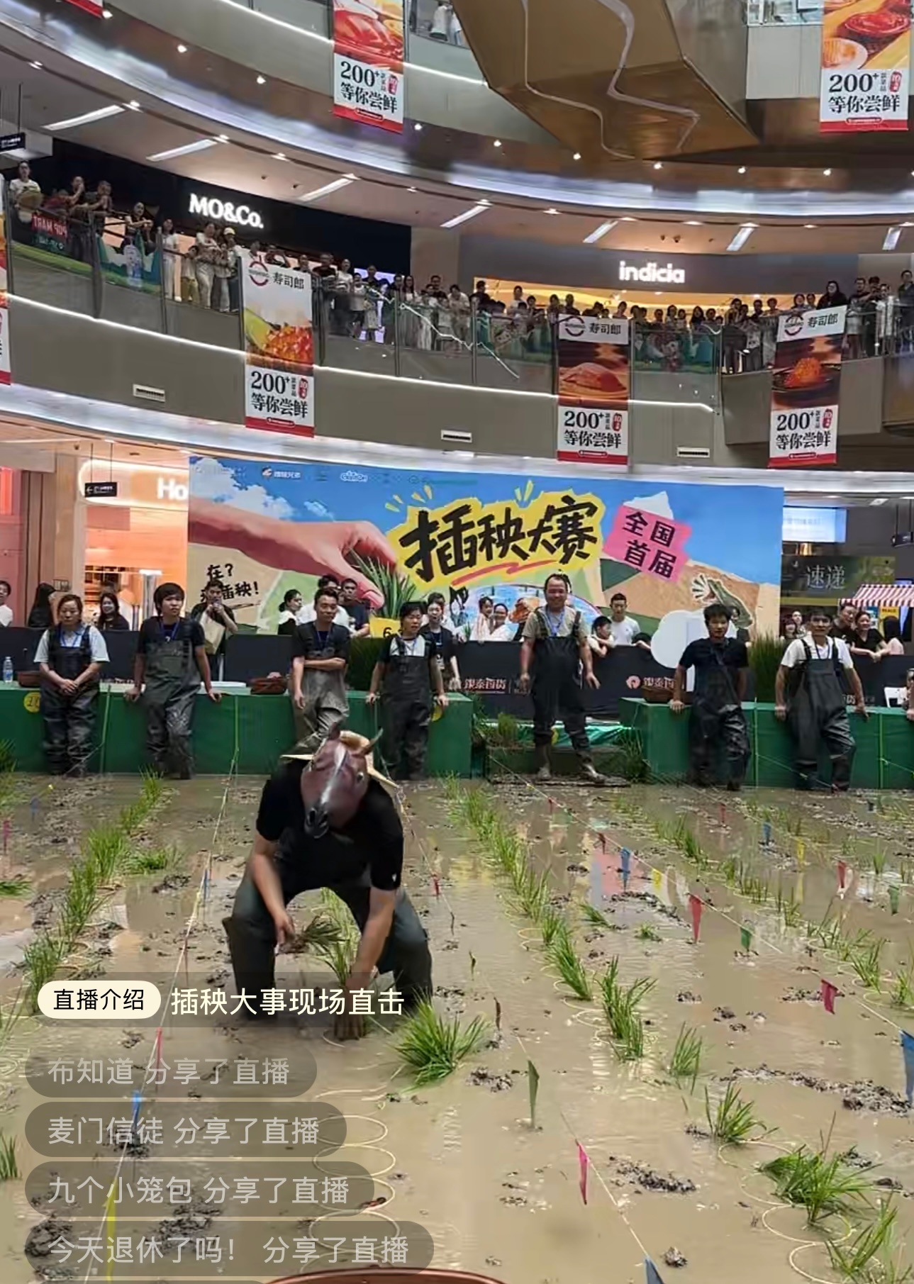 老师这个插秧大赛怎么还有牛马参加？ 宁波·宁波环球银泰城