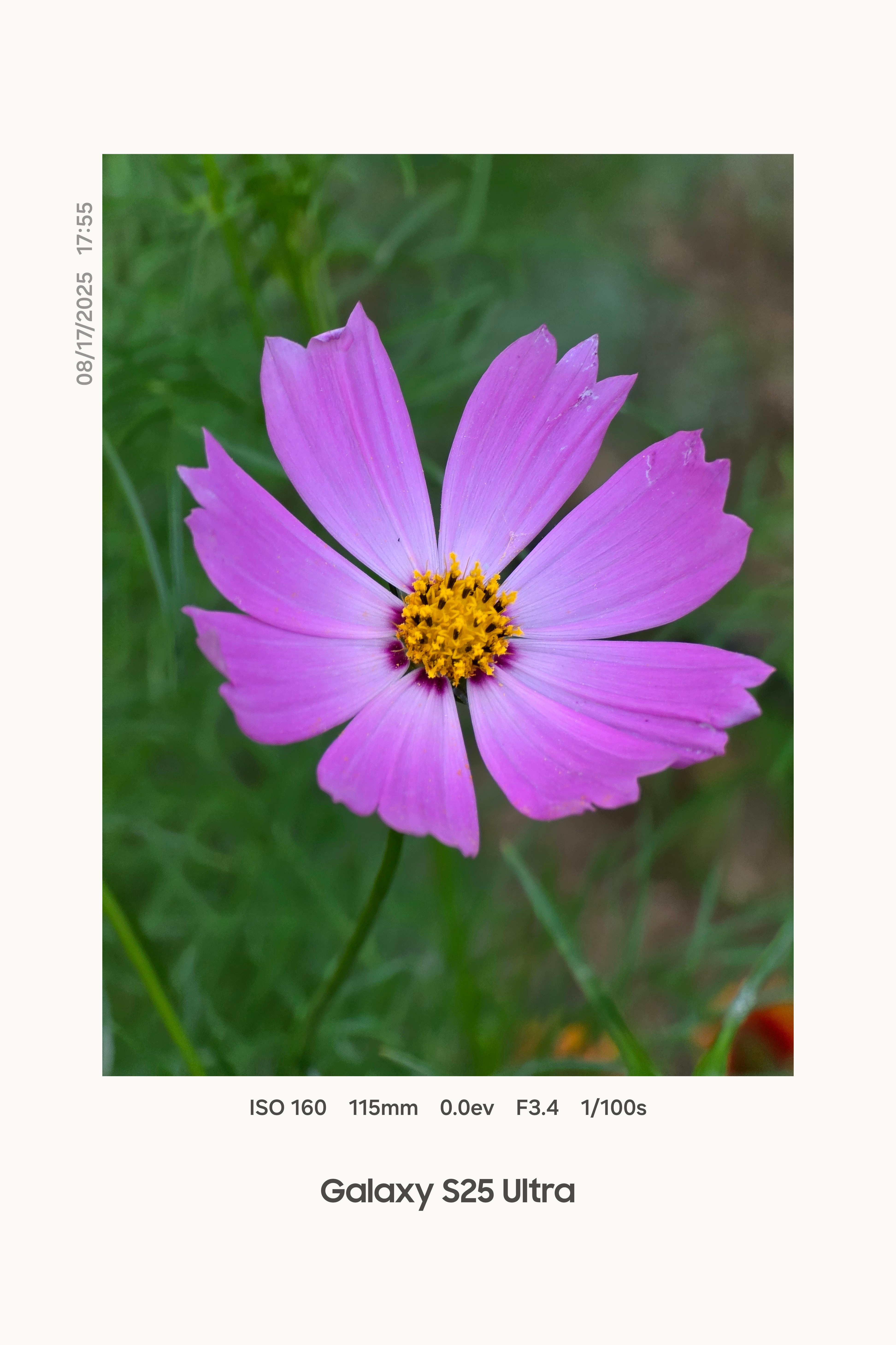 发一些带新水印的 Galaxy S25 Ultra照片，感觉陌生吗？ ​​​