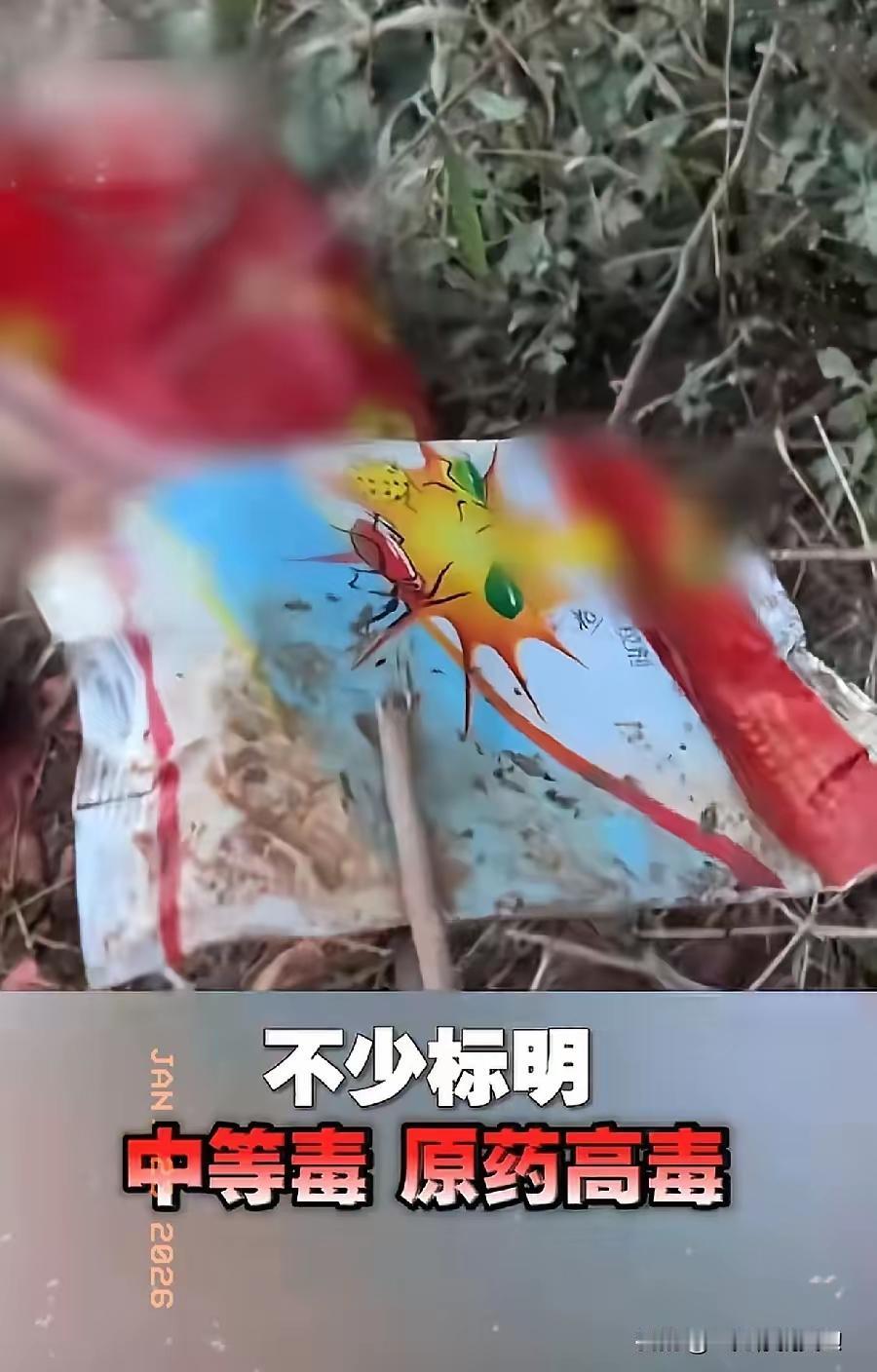 如果不是央视，
​谁会能想到
​农田里的青菜、萝卜、红薯，居然含有“剧毒”的敌百