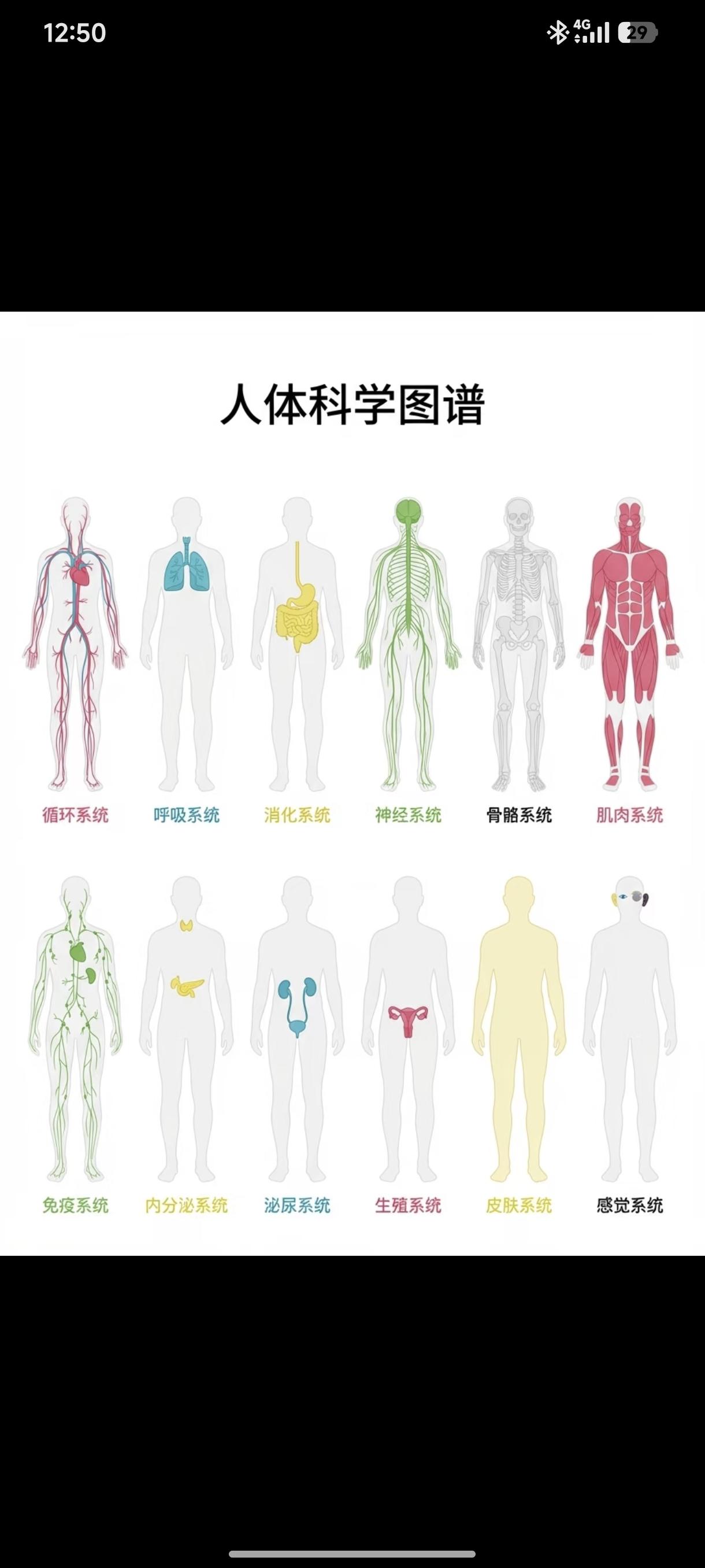 我觉得男女有差别的系统应该分为两个，到底是按照女的还是男的来？一直有个疑问[笑哭