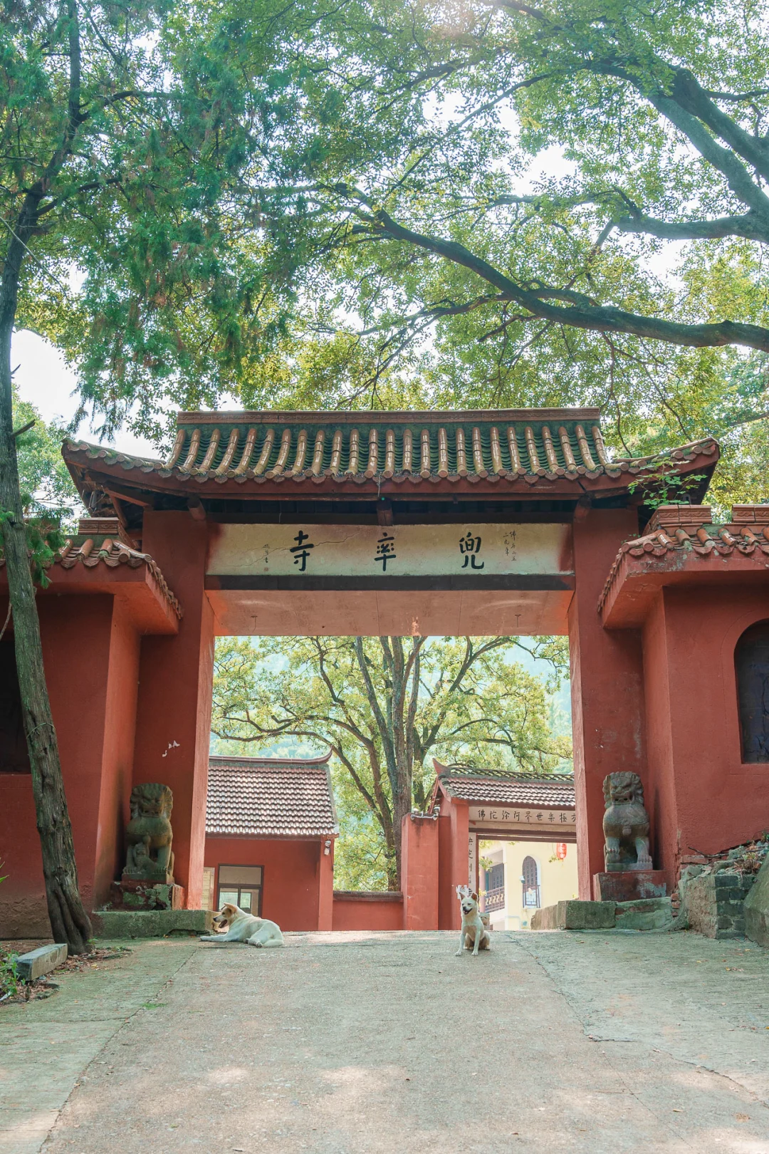 浦口老山深处藏古寺，远离喧嚣狮子岭兜率寺