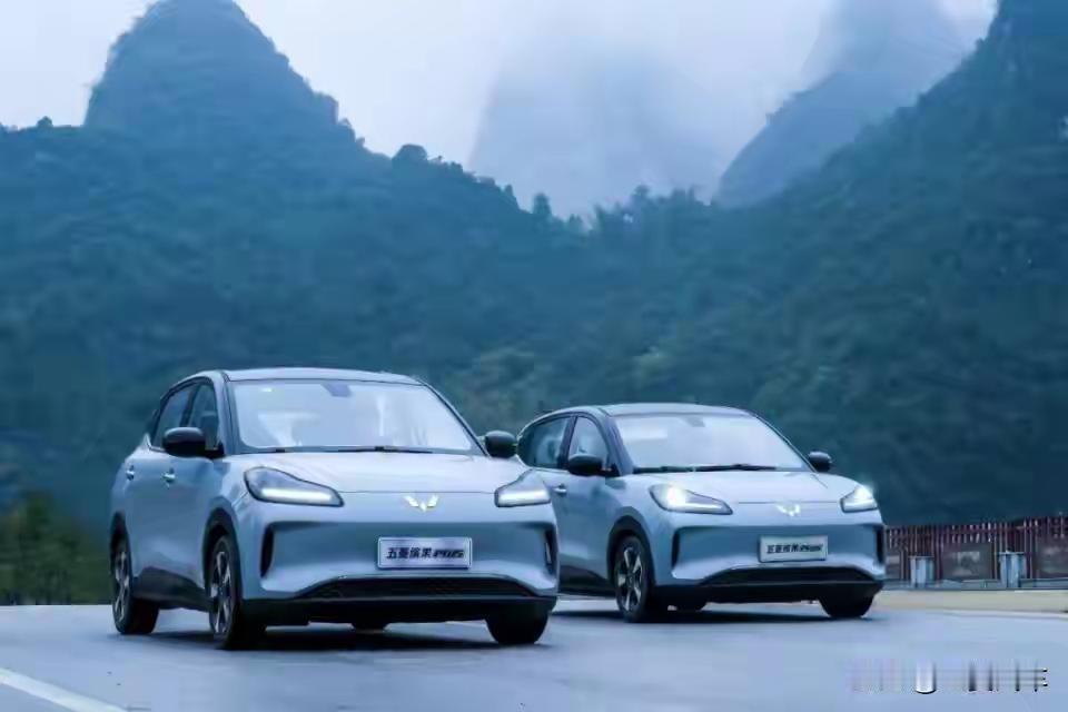 五菱缤果定位A0级纯电代步市场，2023年3月上市，主打“复古流动美学”设计，车