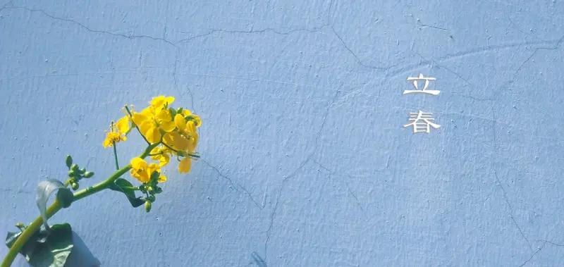 立春躲春不是迷信！这5个生肖必躲，一步教你正确操作
 立春大家都知道，可老辈人说