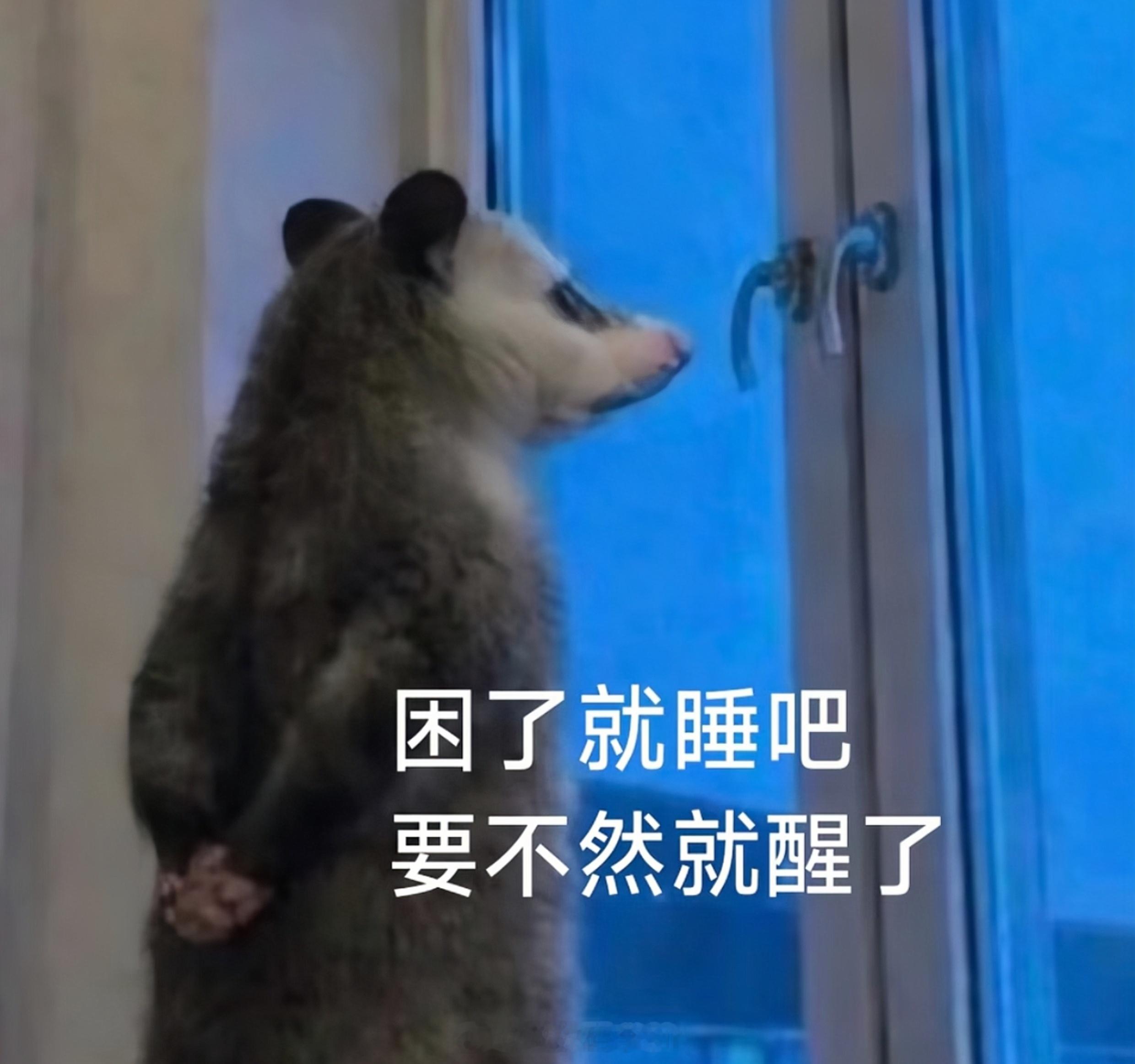 晚安