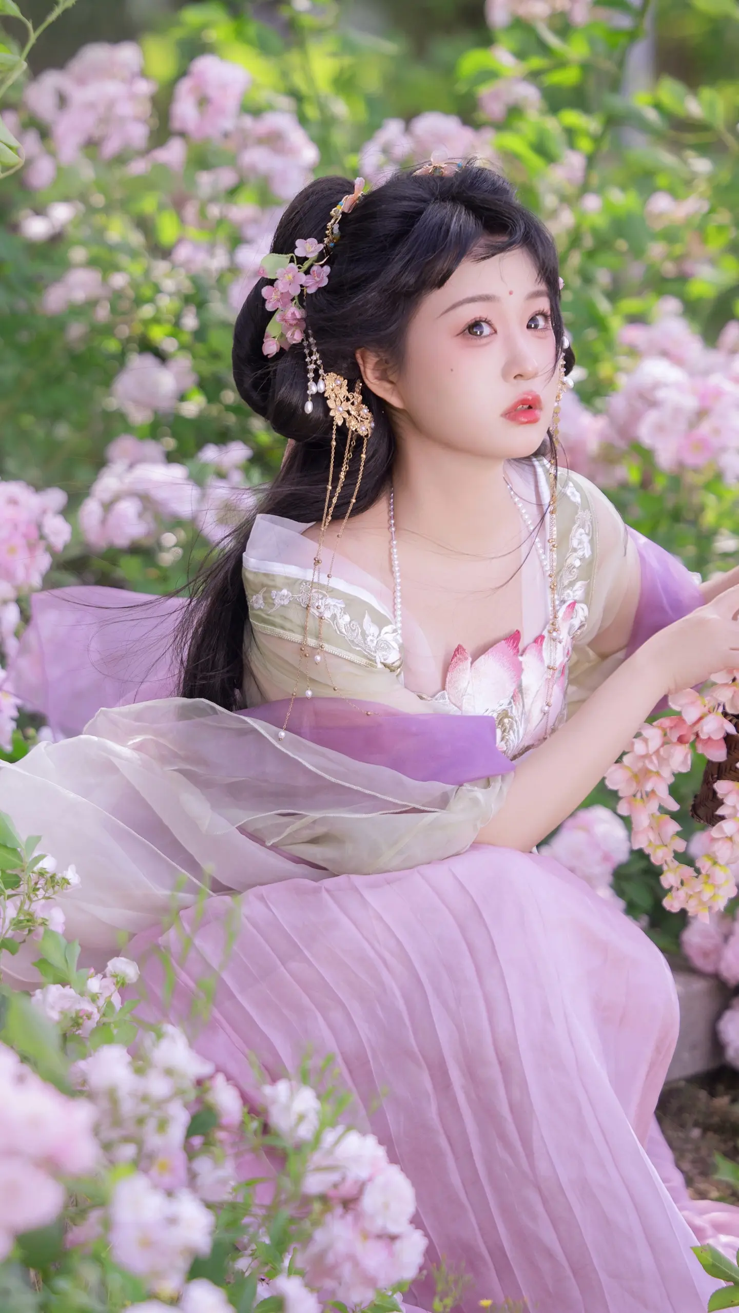 “北方有佳人，绝世而独立”。蔷薇的时候拍的 妆造：小川 东方美学