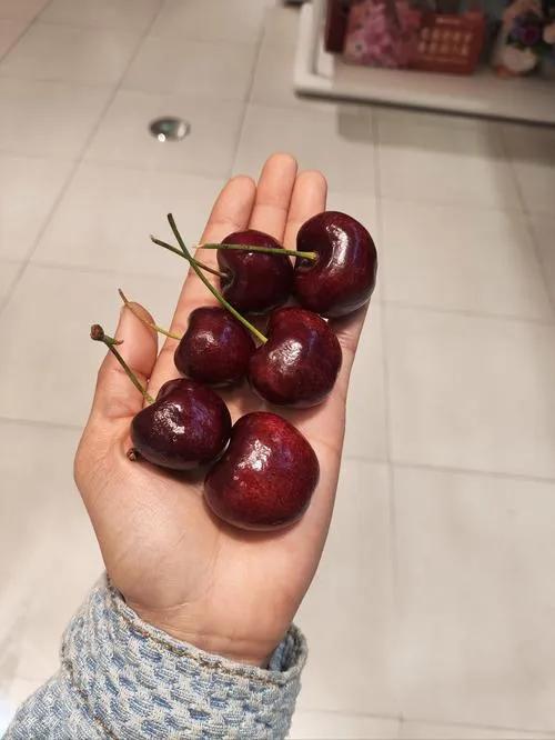 最近车厘子价格大跳水，核心原因就是货多了、运费降了，再加上水果市场竞争太激烈。