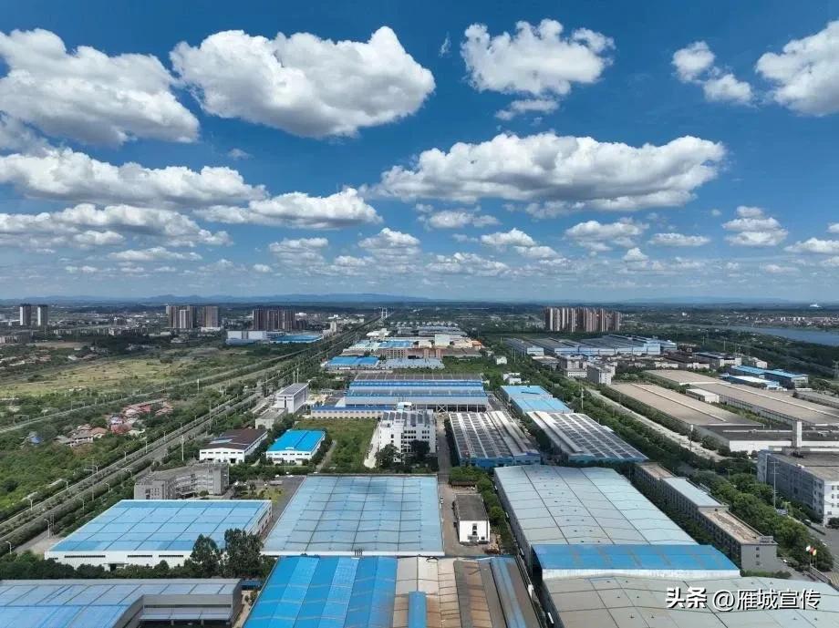 深圳格兰特玻璃项目来衡阳投资考察，就格兰特玻璃集团的光电农业设施建设落地衡阳常宁