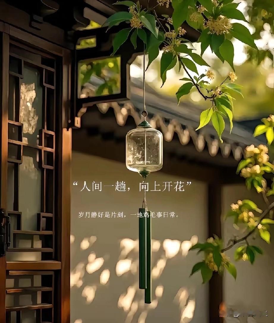 成年人最顶级的清醒：
房子可以不大，温馨就行；
车子可以不贵，安全就够；
吃的可