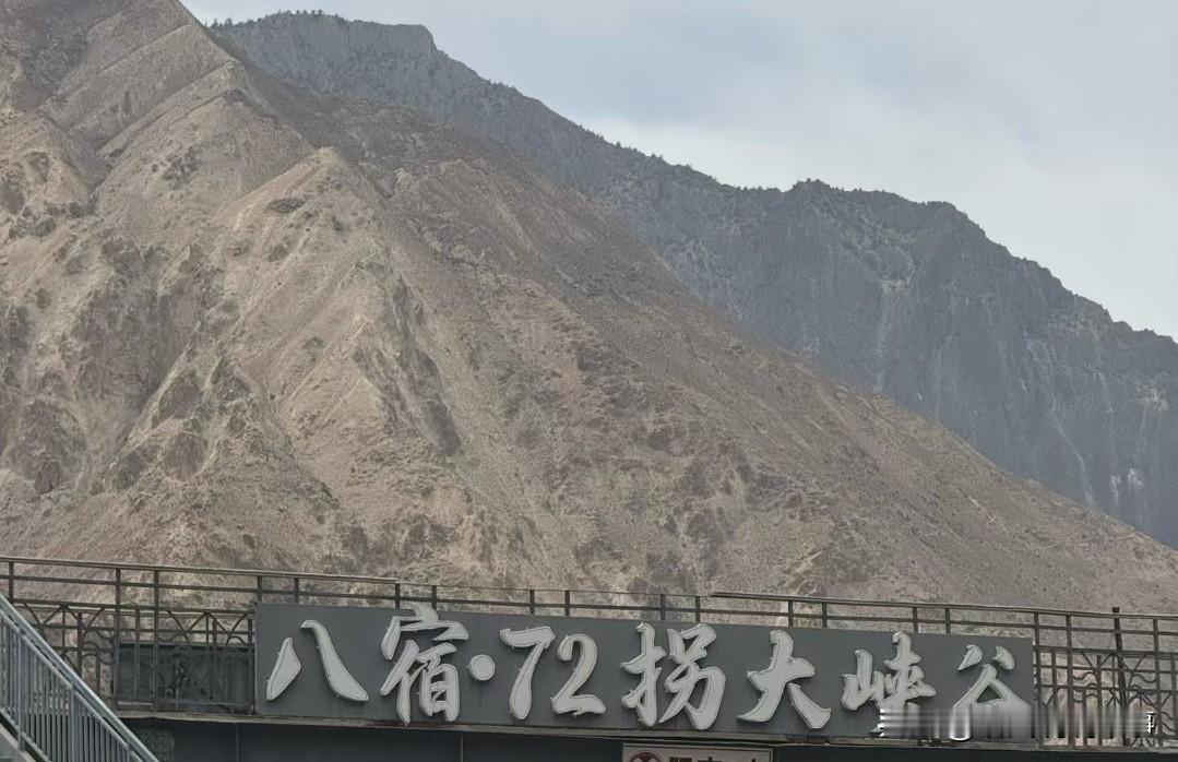 [锦鲤到来]都说种瓜得瓜，种豆得豆，结果狸猫换太子

都说种瓜得瓜，种豆得豆，种