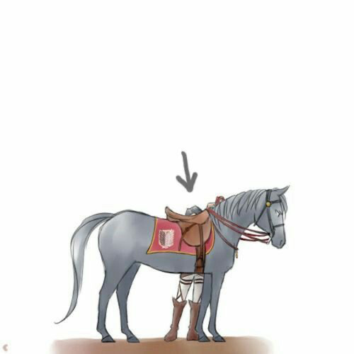 7204圆溜溜的小脑袋 ​​​