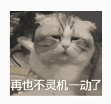 中午又灵机一动，本来下着雨，我后窗开着小缝，结果发现还是有雨，又懒得爬去主驾启动