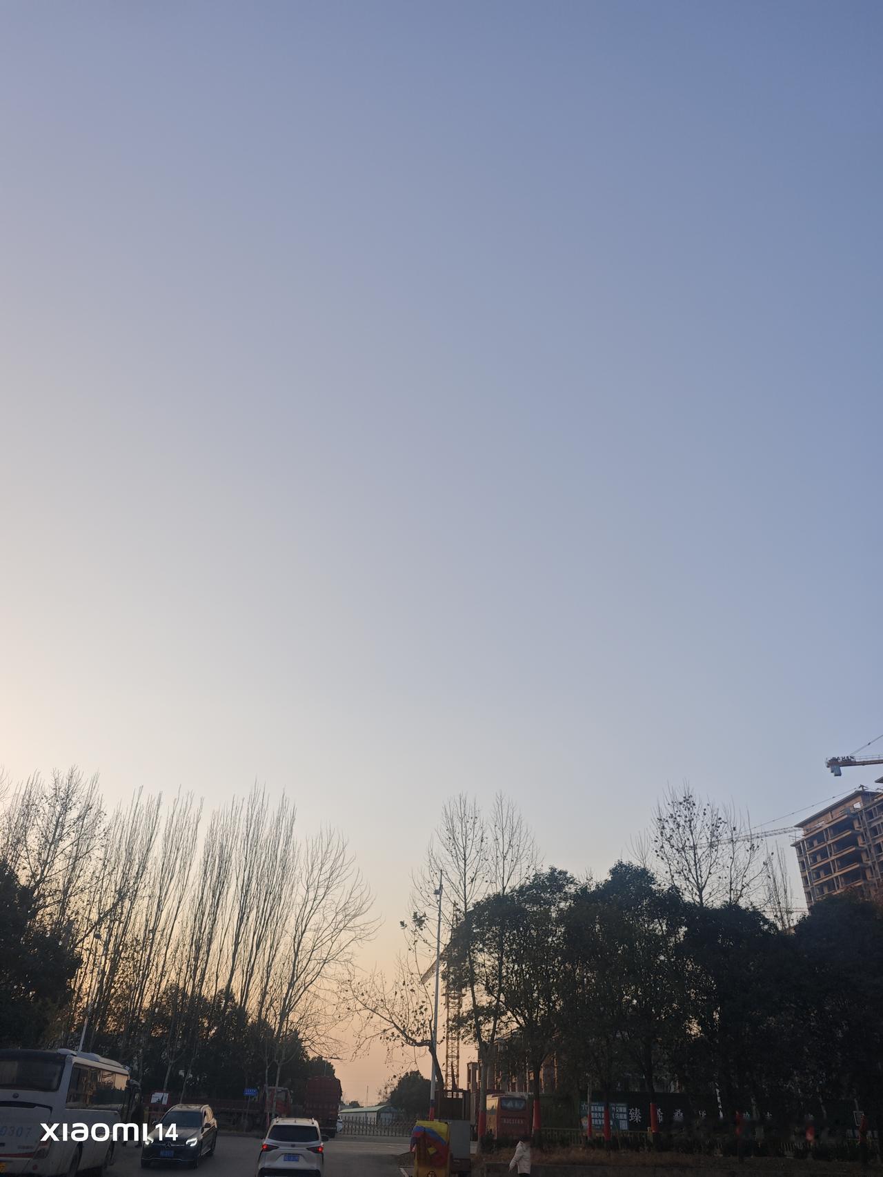 2025年自己还是一个人，岁月让自己变成了大龄未婚人士。