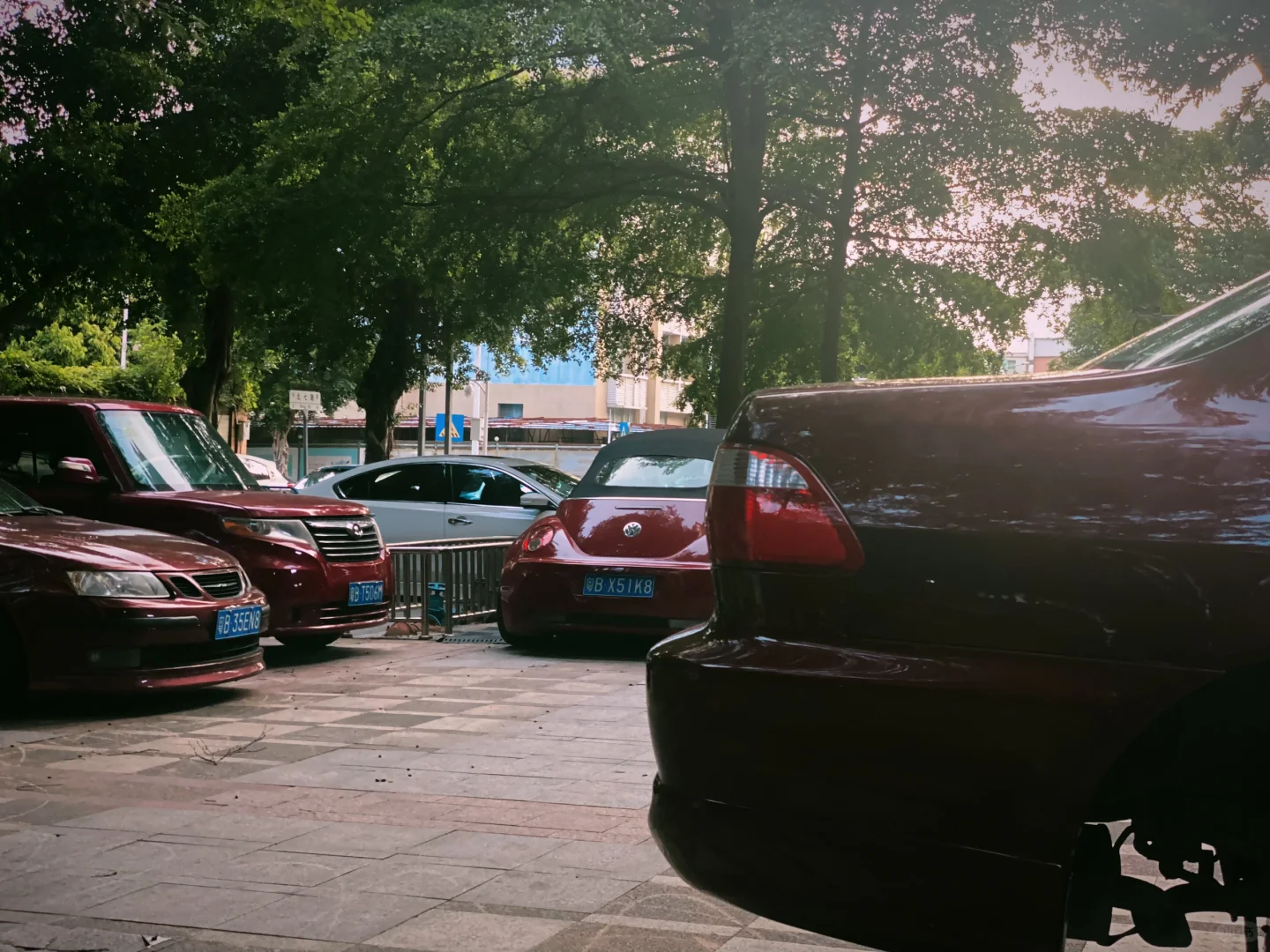 你会喜欢哪种红色？