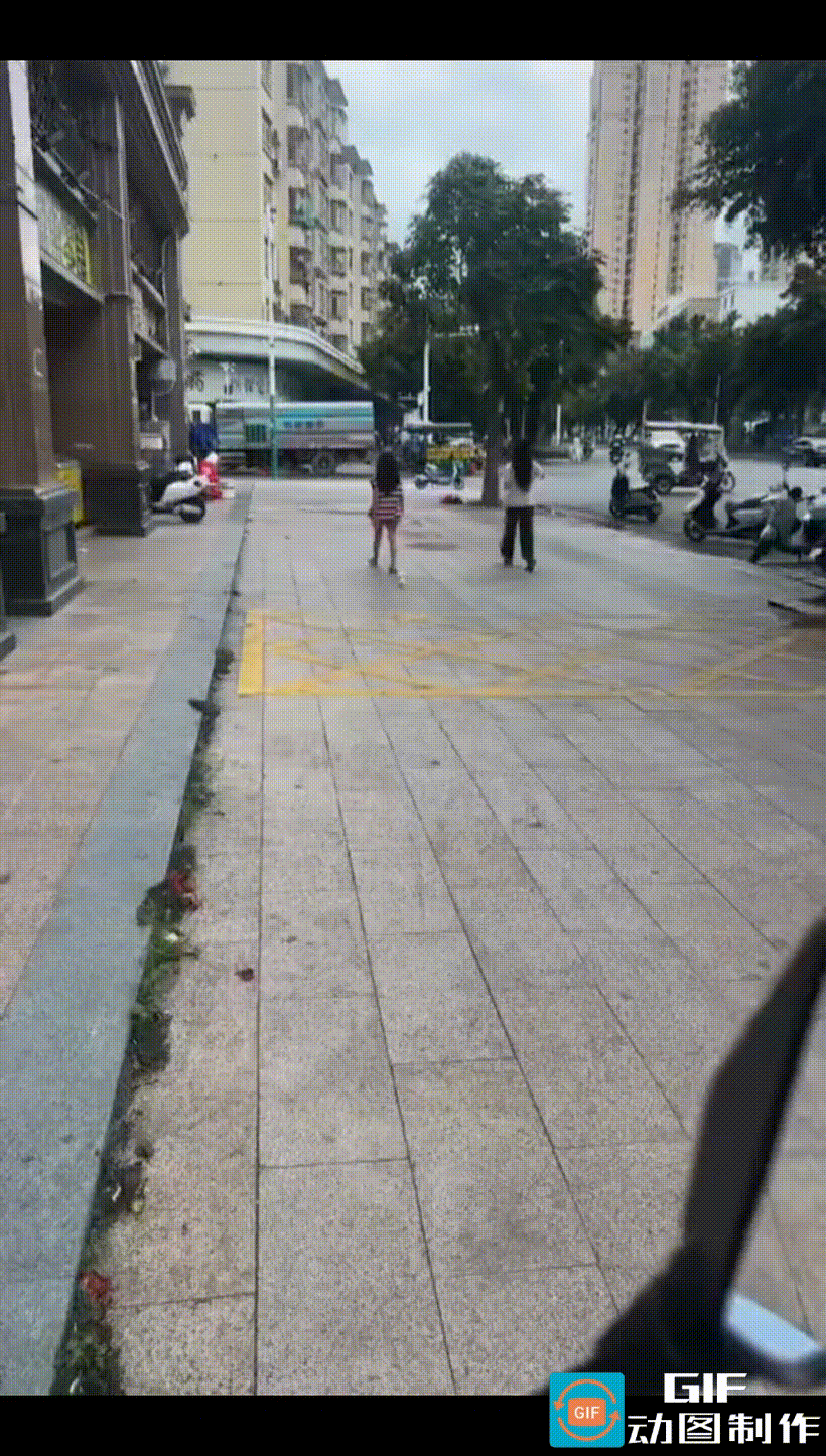 女子带着心爱的宠物鸭在街上溜达。
两个黄灿灿、毛茸茸的小东西，紧跟着女子脚后跟，