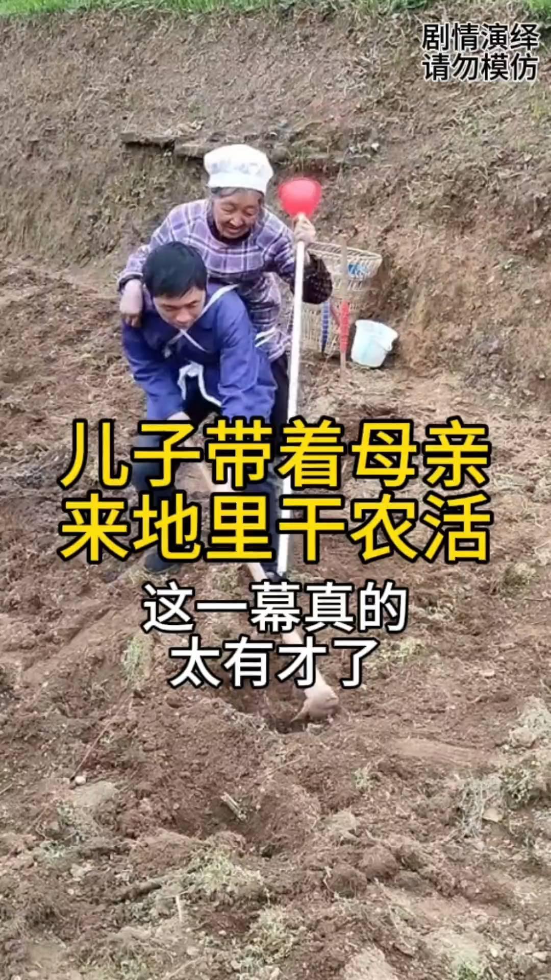 儿子带着母亲来地里干农活，这一幕真的太有才了。
儿子去地里干农活，家里母亲也要跟