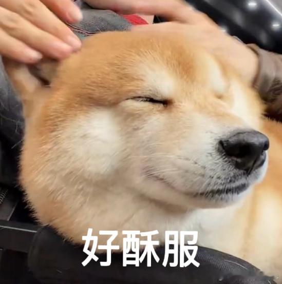 WE这种无限进攻的风格真讨喜，希望可以进世界赛，把JDG WBG这两个乌龟队堵在