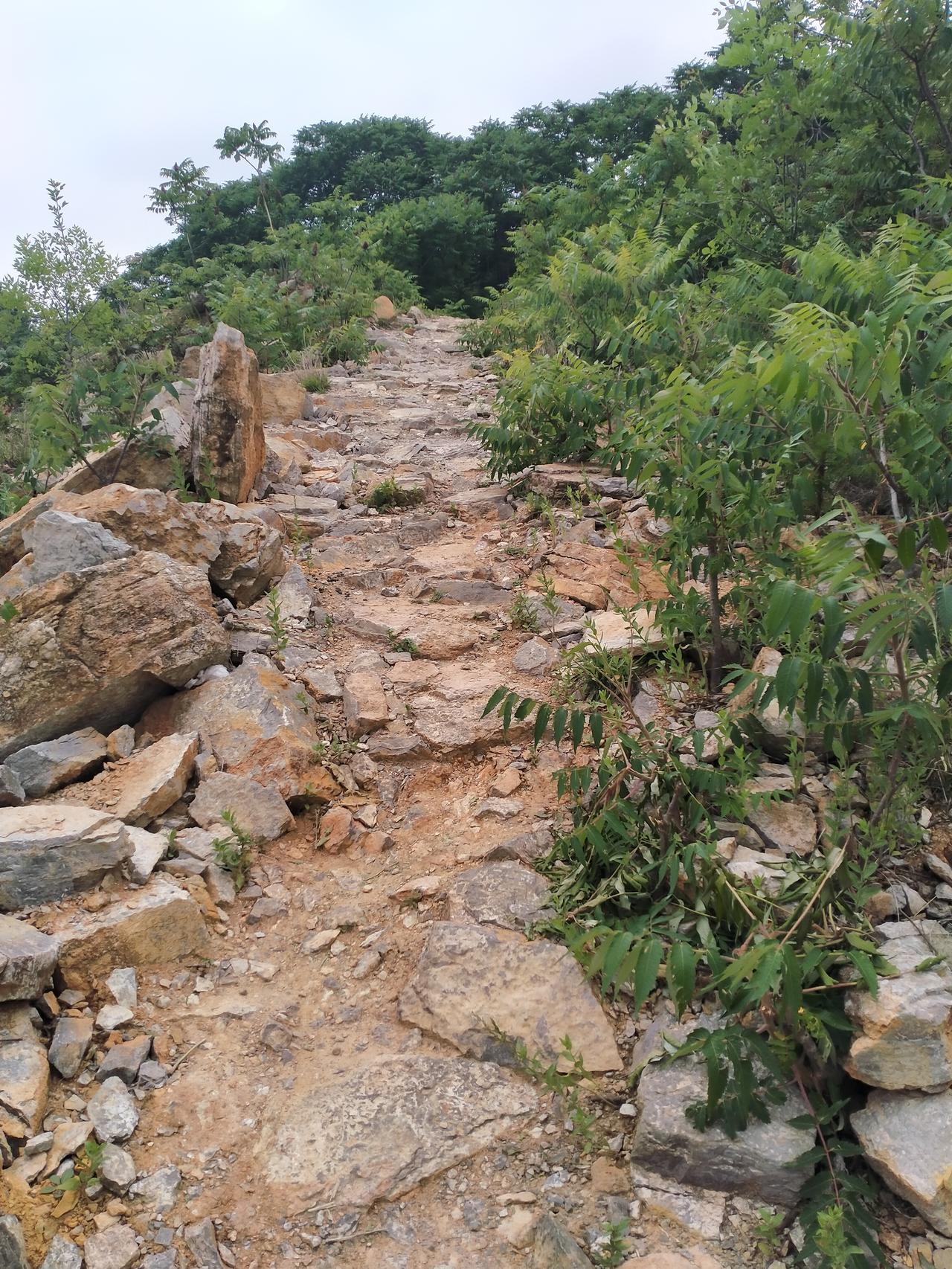 上山之路。