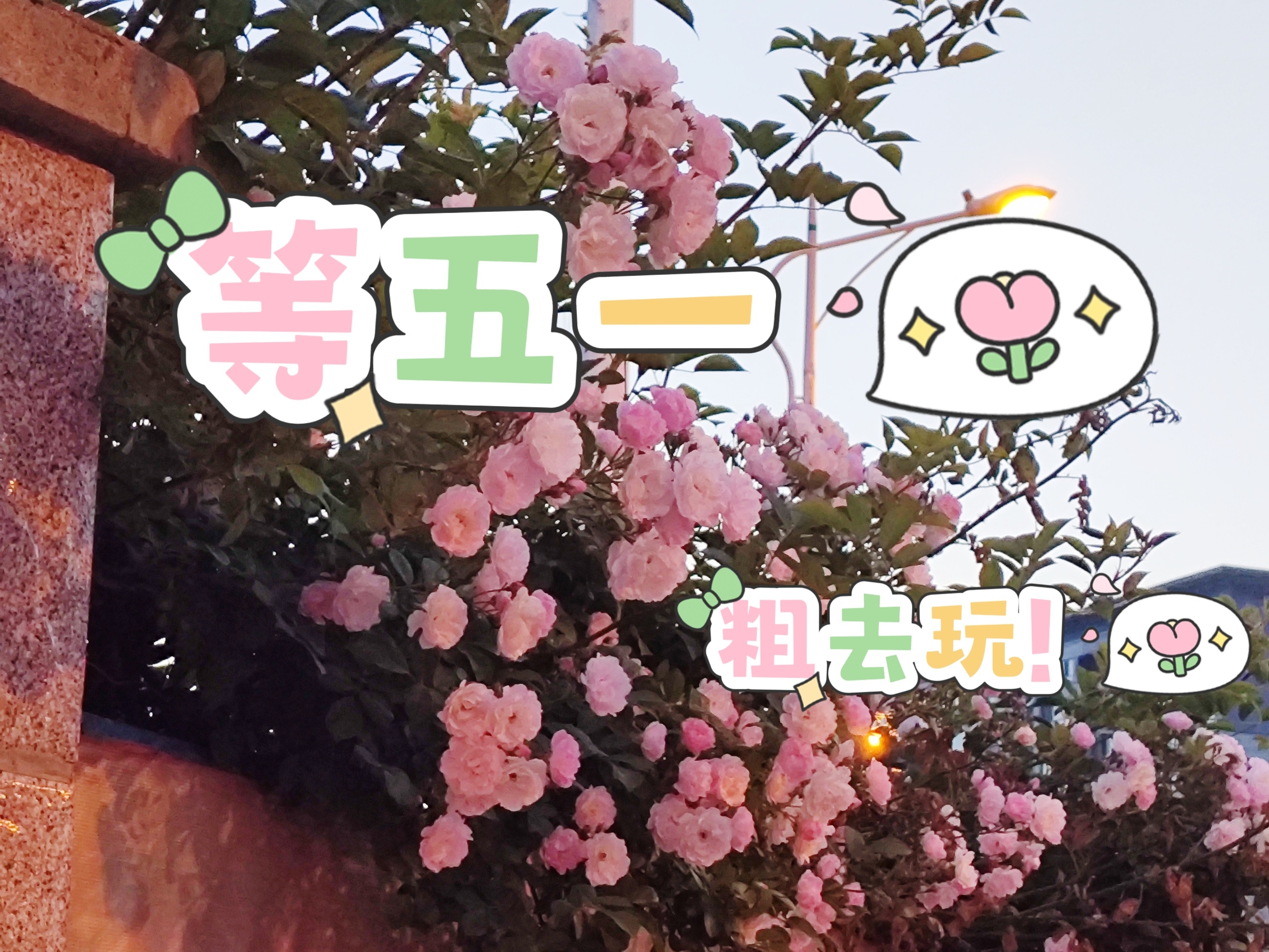 等五一哈哈有几个等五一的，等五一，等五一，反正我是等的还有点着急的那种都计划好干