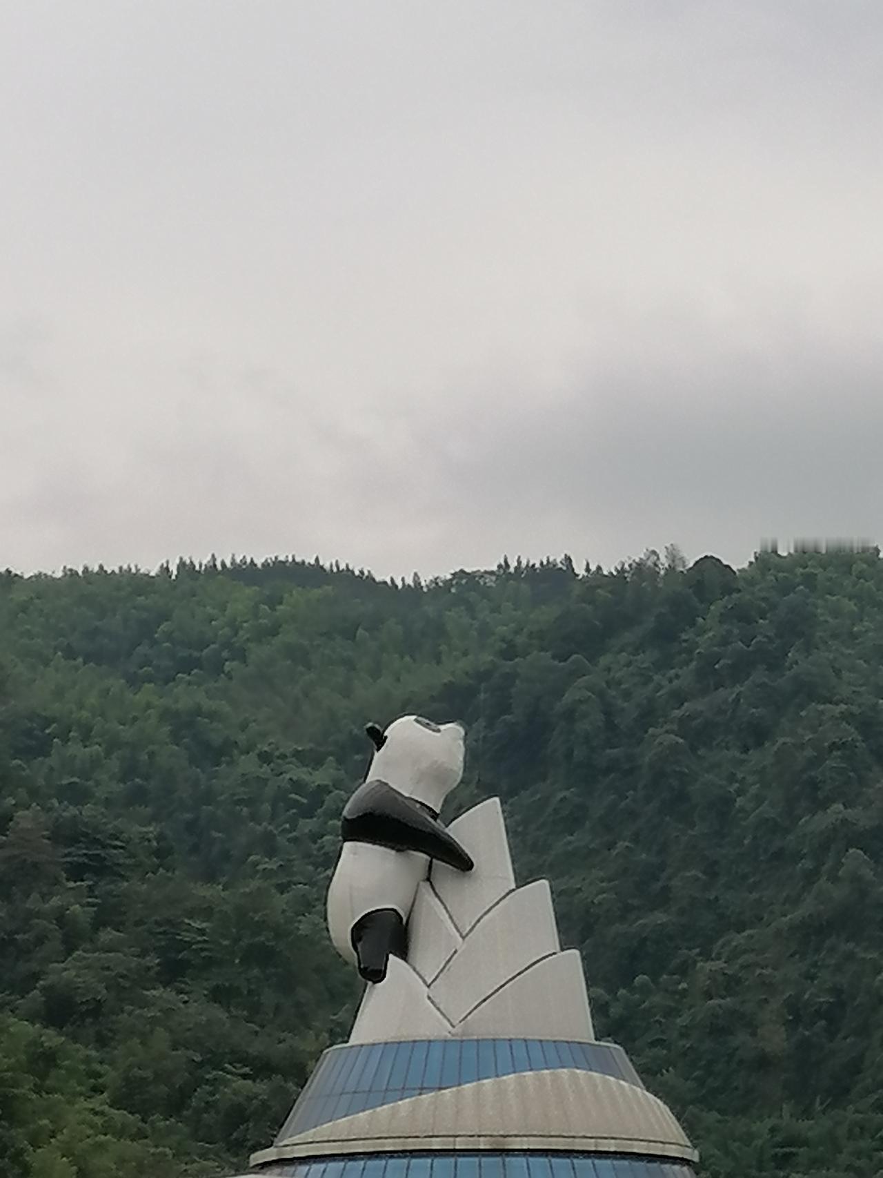 真心话茶局四川雅康高速天全服务区这个熊猫造型还挺好看的，如果你路过可以看看。