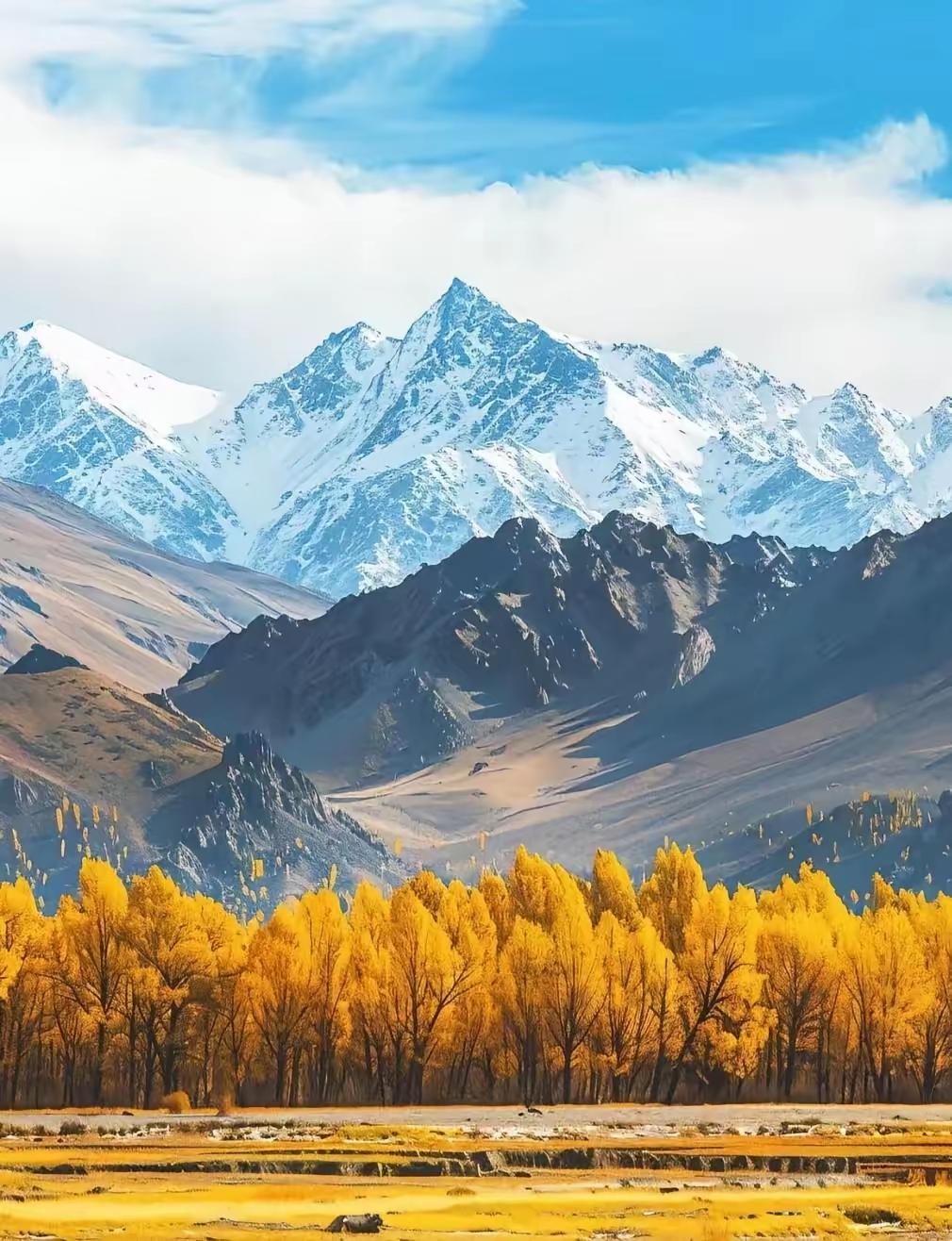 入冬后，家里的暖气总是冷冰冰，进水管和出水管都是凉凉的，没有热度，晚上就感到有些