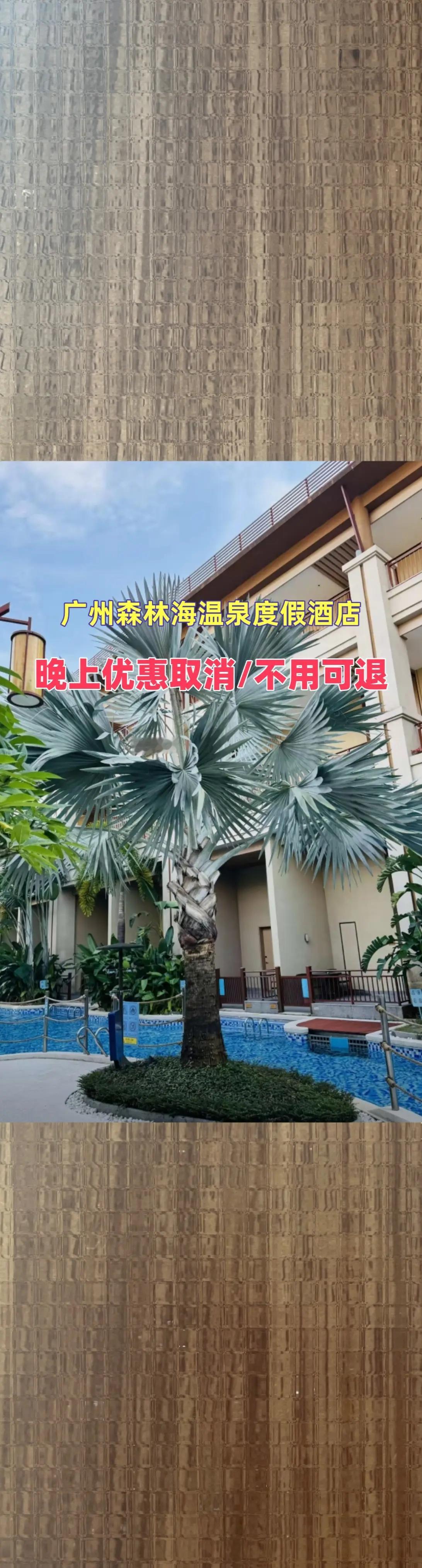 广州森林海温泉度假酒店这个夏天一起住进清凉的世界 治愈系日常瞬间 一个夏季避暑的