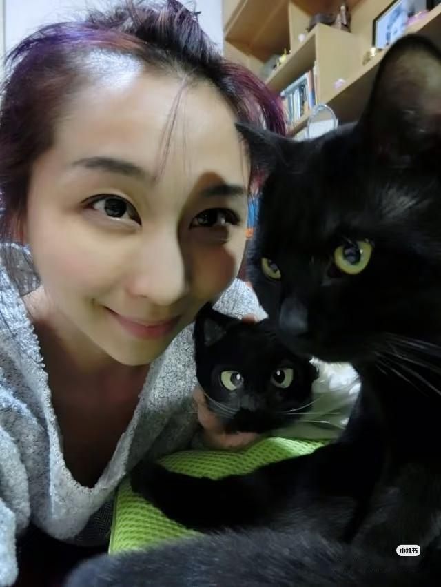 终于看明白了，
为什么裴秩为什么不敢写自己的本科，
不是因为不出名，而是因为天津