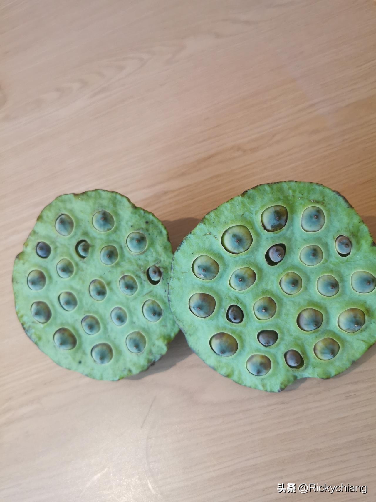 嗮一张你相册里的花