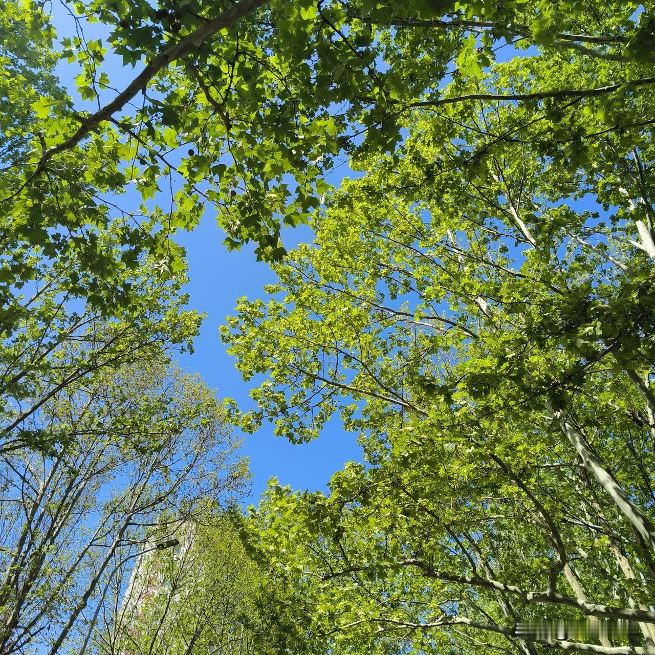 在没有选择的时候，努力很重要

2016年我家孩子读大学，为了跟孩子们一起成长，