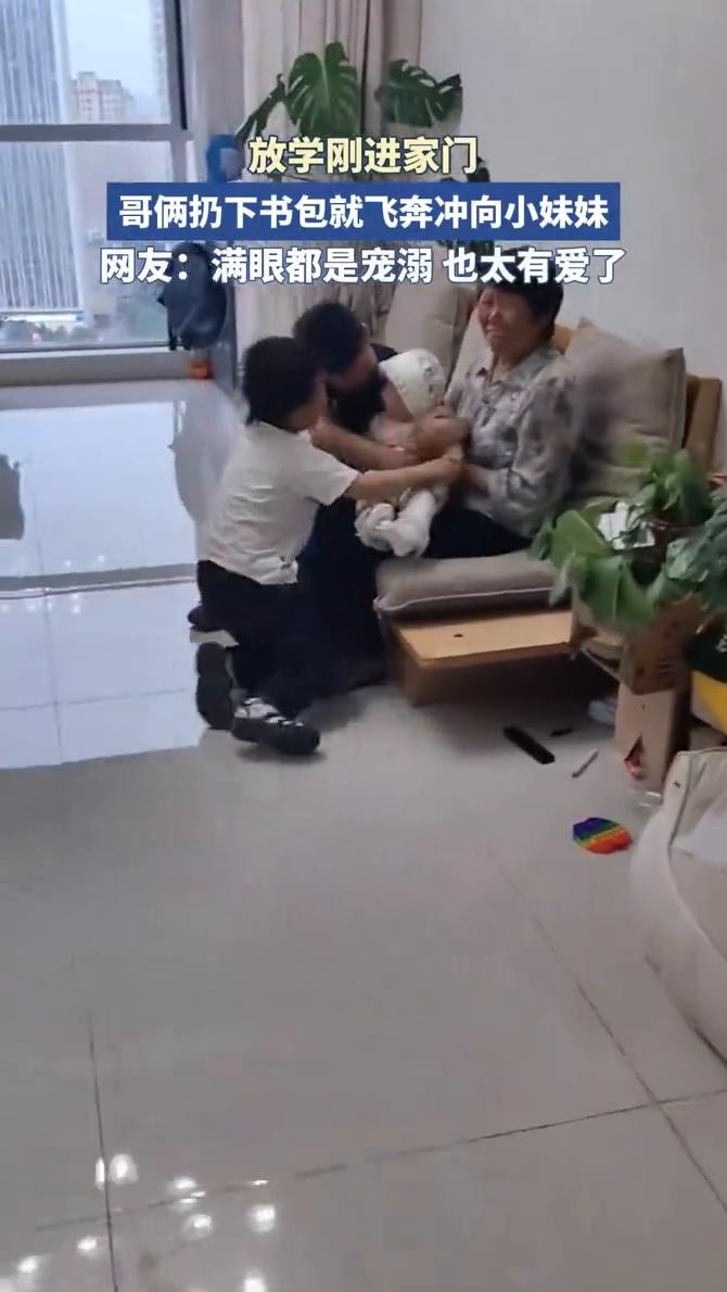 放学刚进家门，哥俩扔下书包就飞奔冲向小妹妹。网友：满眼都是宠溺也太有爱了。