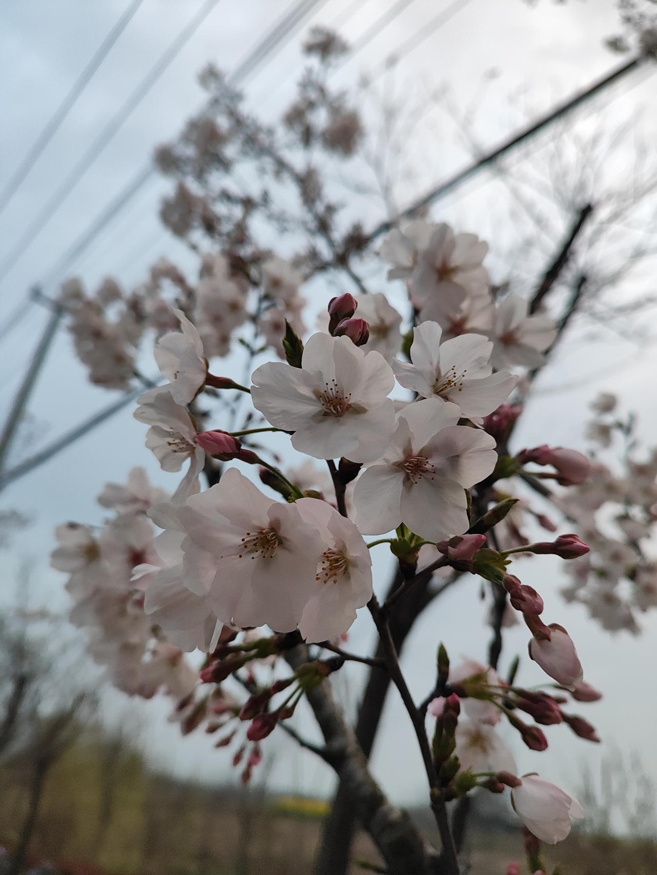 人最难悟透和看破的是什么?人最难悟透的，从不是外界的纷扰，而是自己的内心。我们往