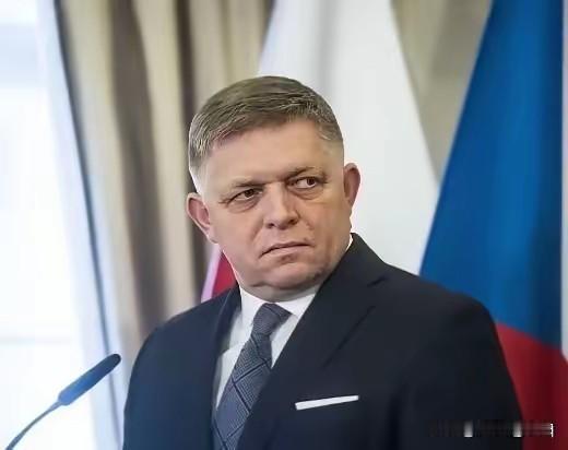 事不大，看着办吧！
斯洛伐克又出了一件可以说是惊天动地的大事，议会反对党自由与团