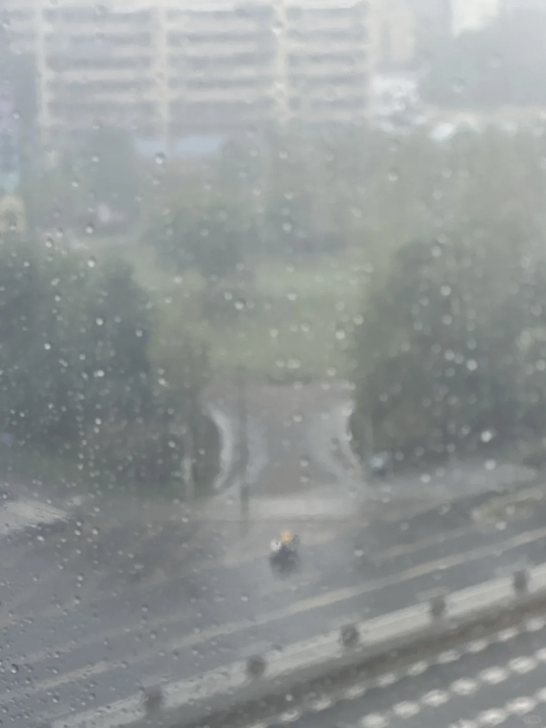 成都下午两点的暴雨⛈️模糊了整座城……