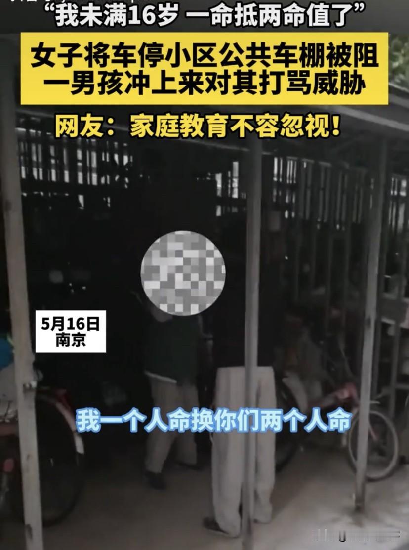 未成年保护法究竟保护了谁？江苏南京，女子把电动车停在小区车棚里，却被一对母子指责