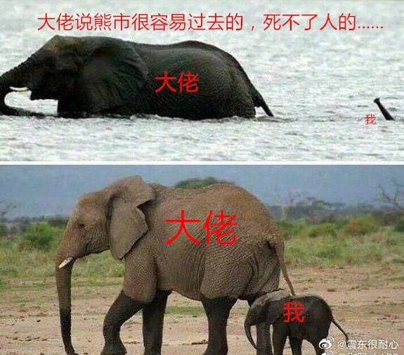 翻相册，翻到一张之前的图片 