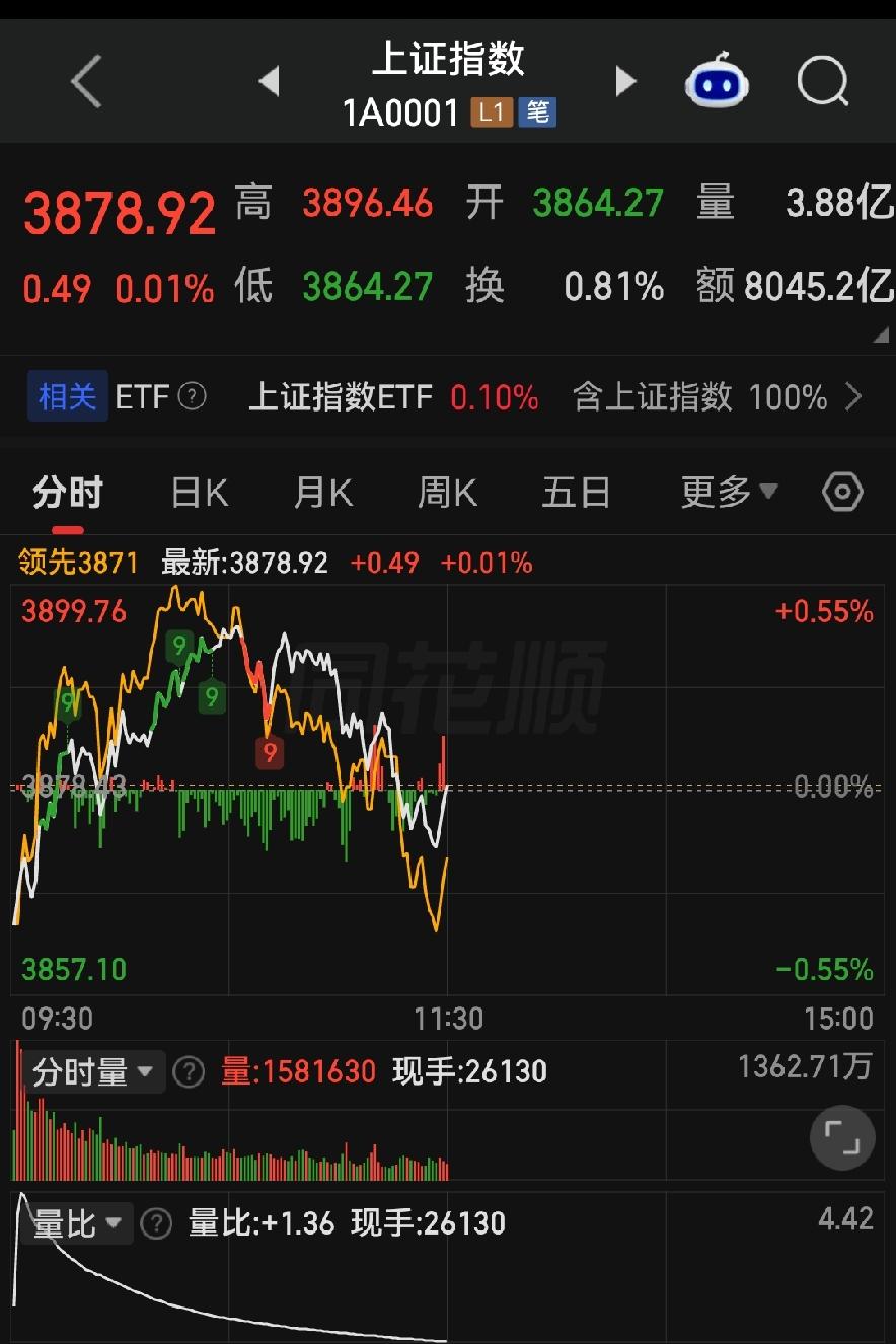 为什么大盘没跌，你却大亏？看懂下午行情不吃亏！

各位朋友些，今天上午这个盘面，
