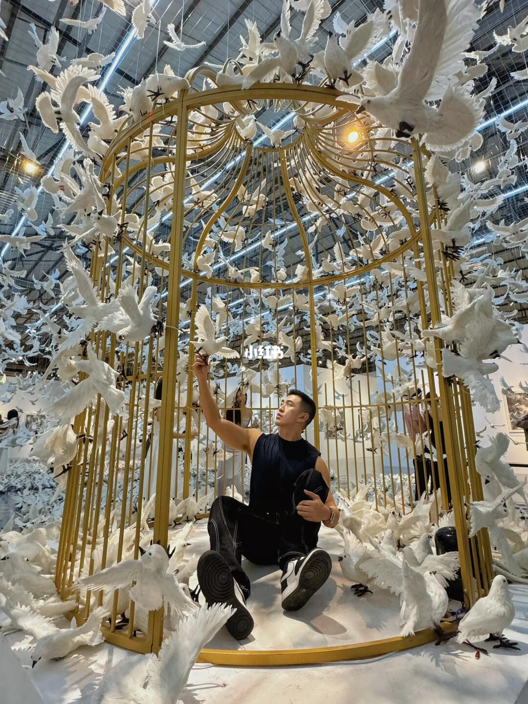 这也太出片了吧 🕊️深圳探展 深圳拍照📷