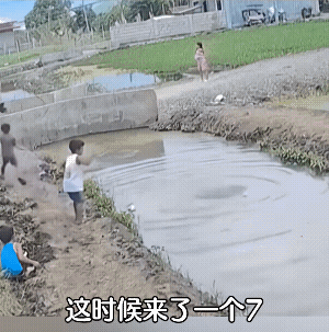 扔那一下，把我笑乐了，要给这个勇敢的孩子报个见义勇为！[赞]