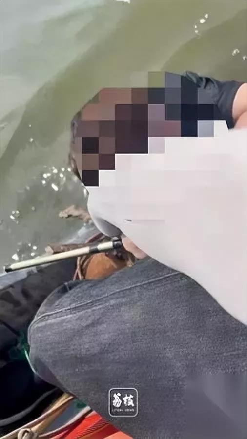 救了落水女孩

反被家属怼？

你敢信这是最近天津代先生遇上的真事？

他那天钓