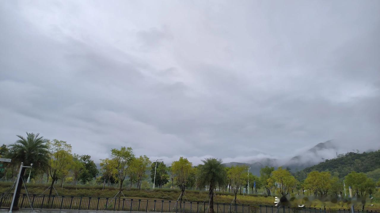 冬藏
山外山雨绵绵
海外海风萧萧。
白雾藏青翠，
飞鸟只闻声。
连日的雨润湿了大