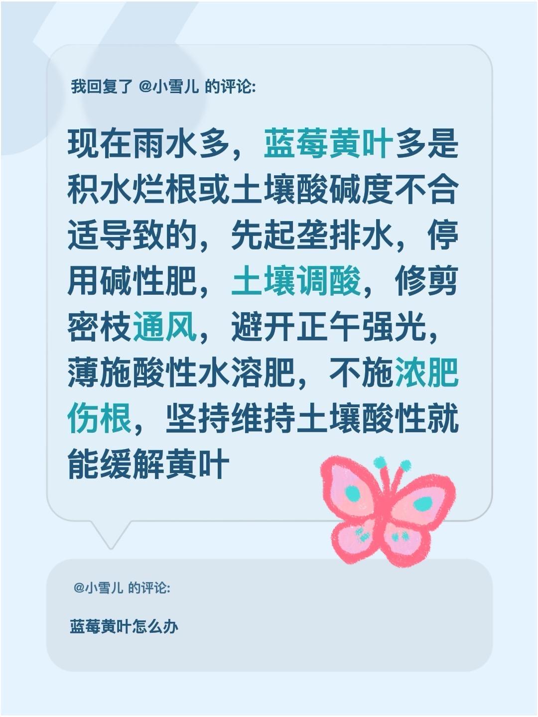 蓝莓黄叶怎么办？我回复了@小雪儿 的评论：
现在雨水多，蓝莓黄叶多是积水烂根或土