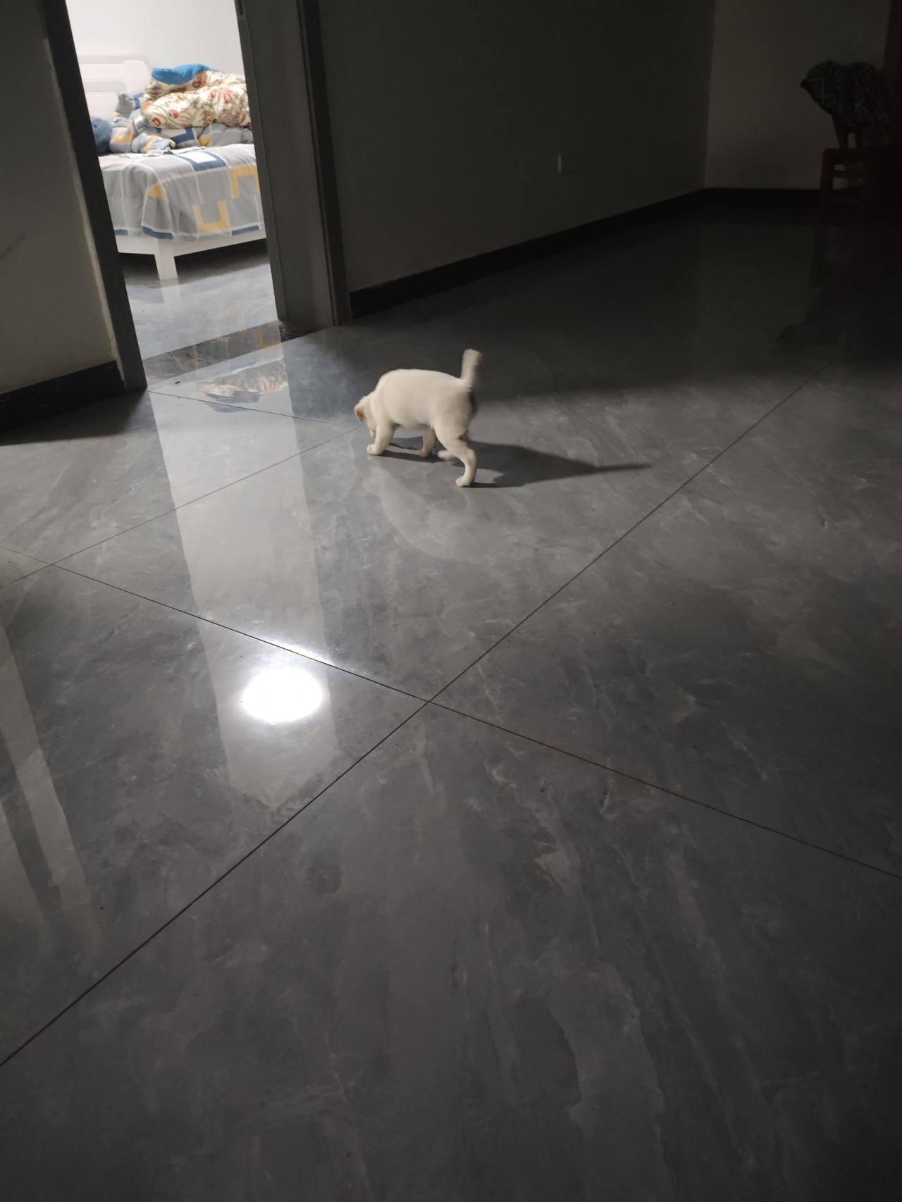 一年过的好快，又要到头了。看到如今40多岁的另一半，你是否后悔当初年轻时候的选择